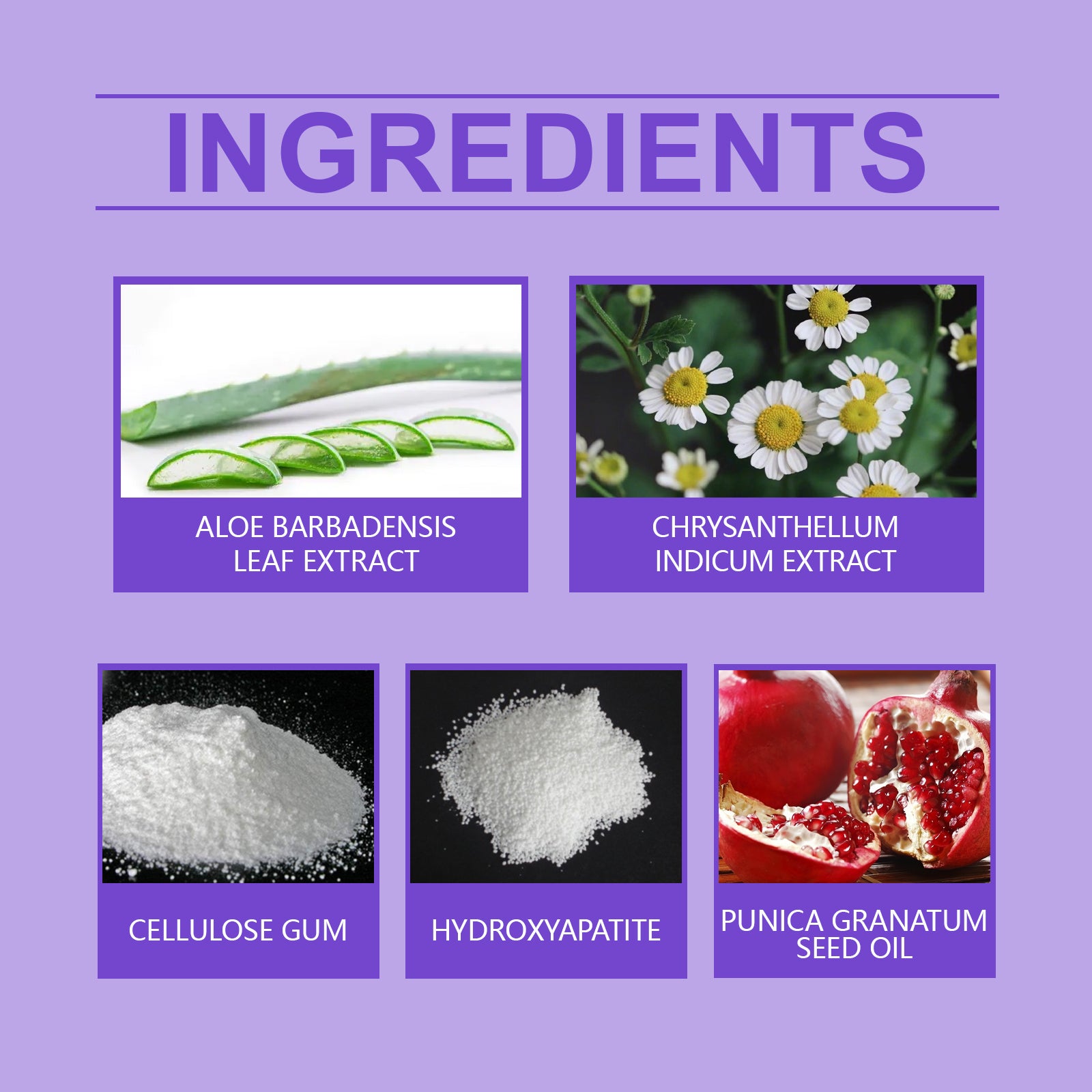 Dental Brush Tooth Stain Removal Dental Care Oral Hygiene Dental Care Clean Fresh Breath